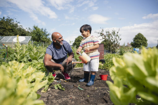 A small child watering plants at an allotment. An older man is crouching next to him, smiling.